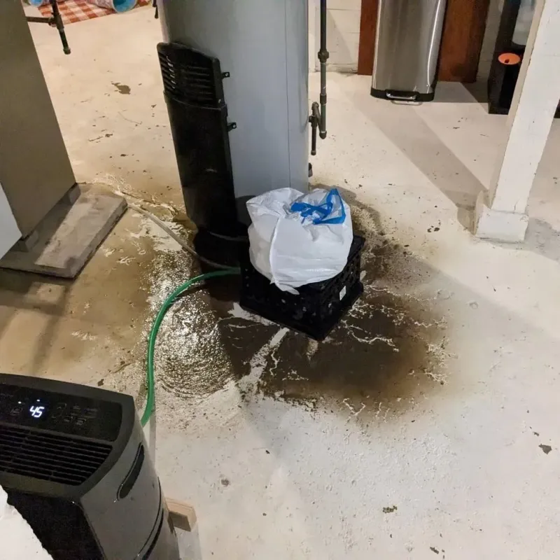Sewage Backup Cleanup Service in San Bernardino, CA